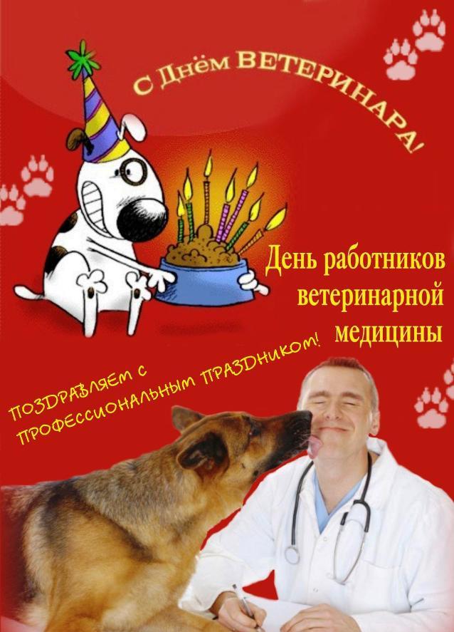 Поздравления С Днем Рождения Ветеринарному Врачу