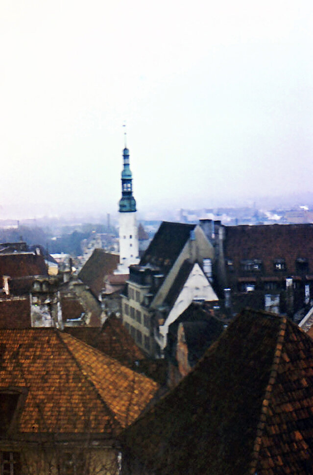 Крыши Старого Таллинна