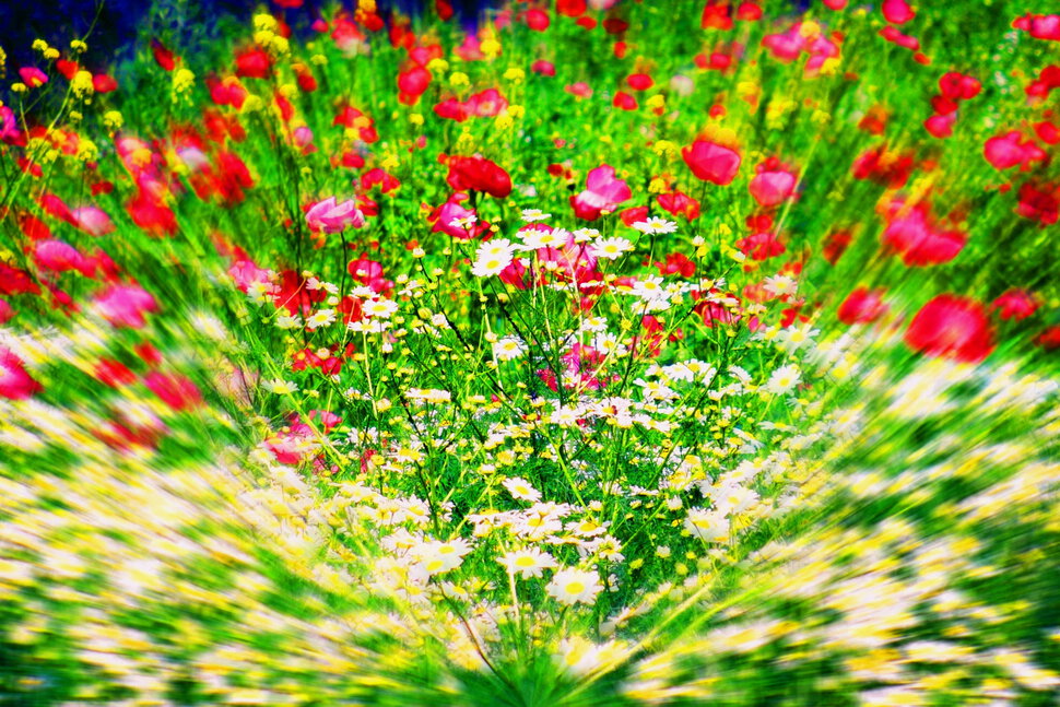 Радуга цветов и цвета