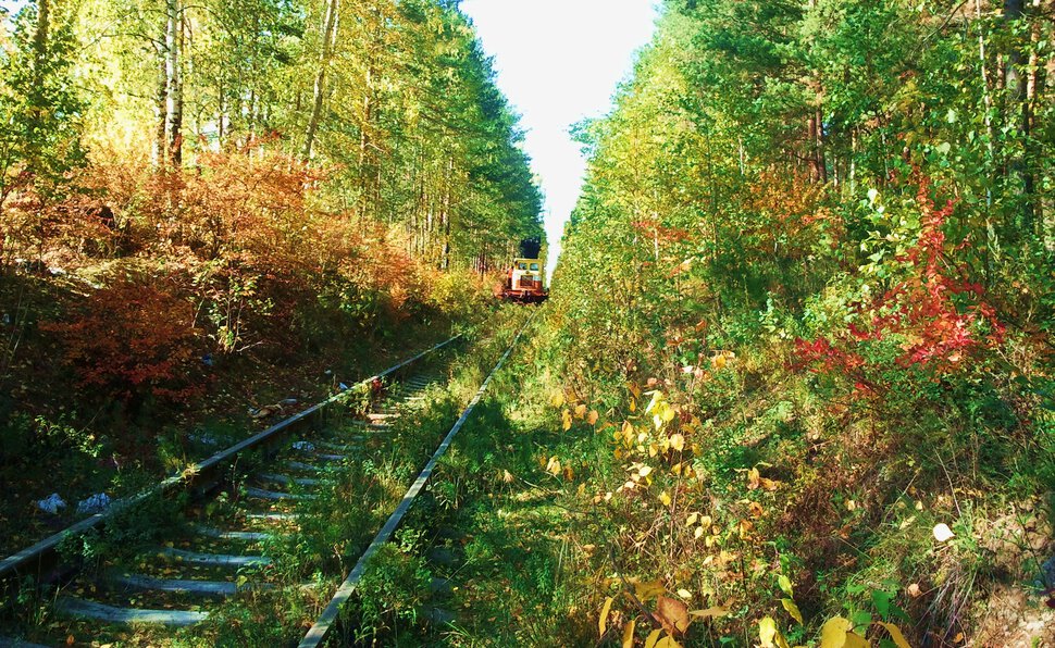 По железной дороге в заповедном лесу