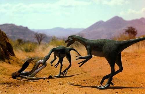 Фотографий динозавров
