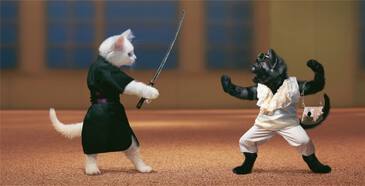 samurai.l.jpg