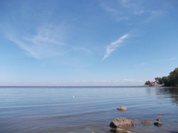 Петергоф - Берег Финского залива -камешки в воде