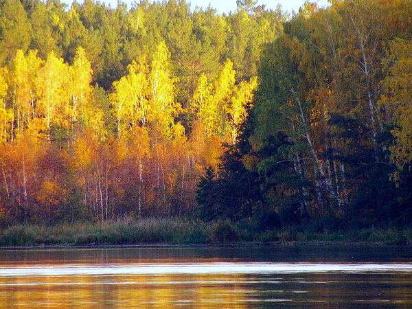 Природа Урала. Осень2012