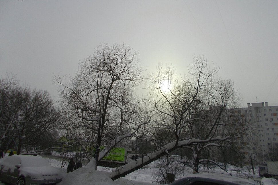 Робкое солнце зимней Москвы