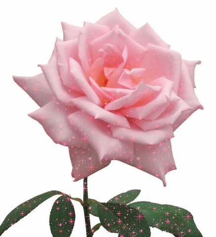 Роза для Любимой к 8 Марта
