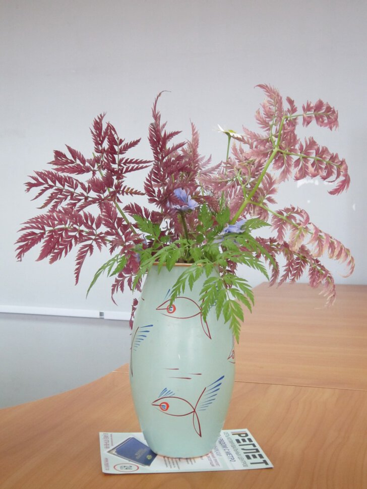 Натюрмортнатюрморт, ваза, растение, папоротник, листья