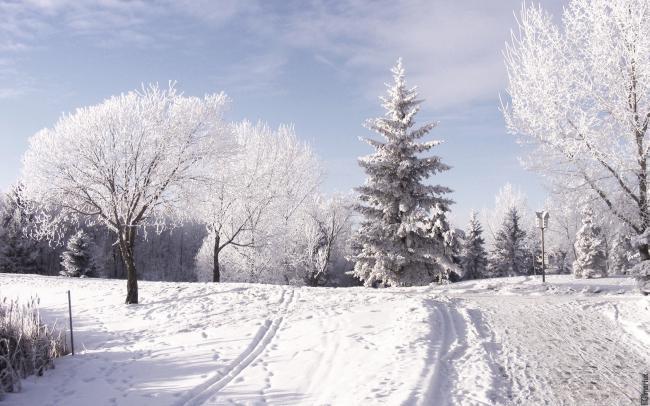 Зимний пейзаж картинка