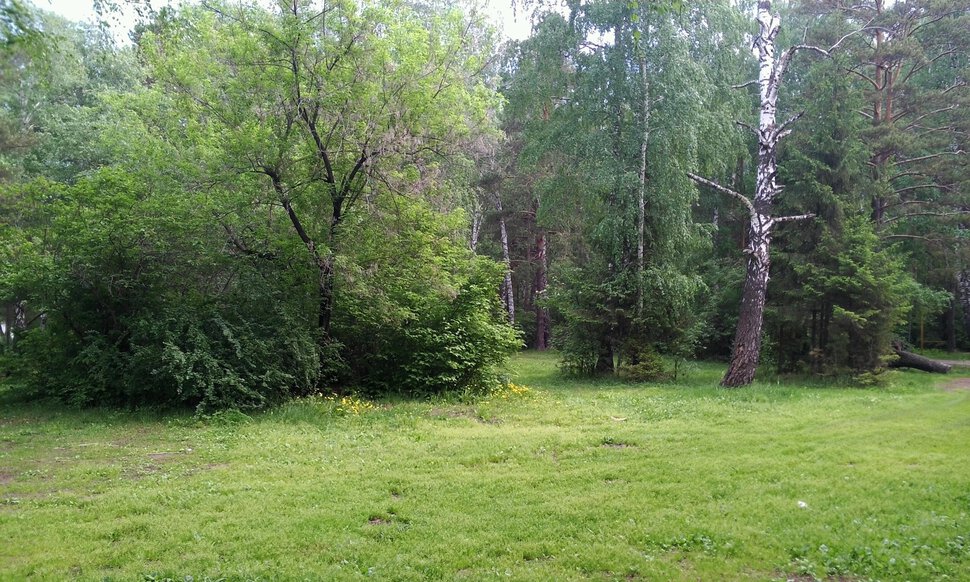 Уральский лесной пейзаж