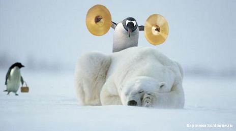 Пингвин музыкант