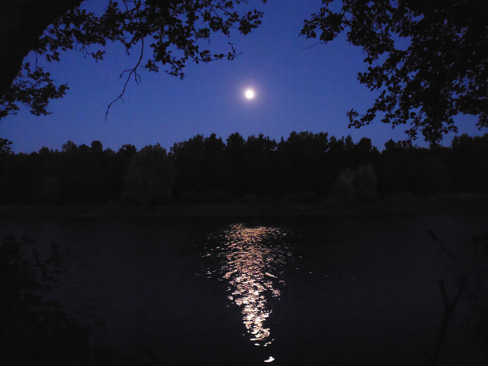 Ночь у озера