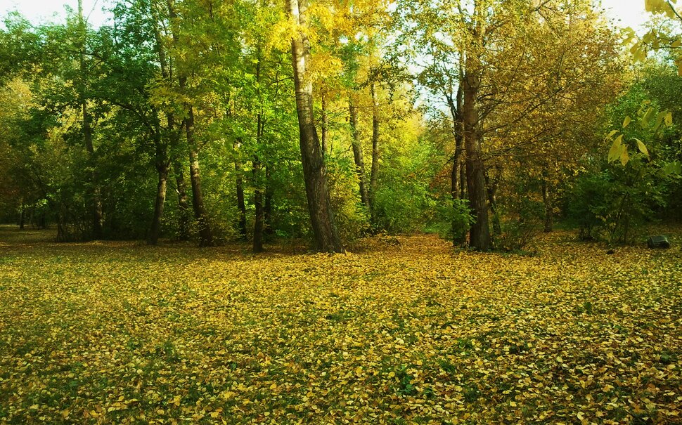 Осенний уголок