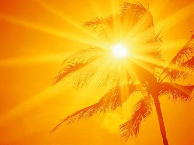 солнце и пальма