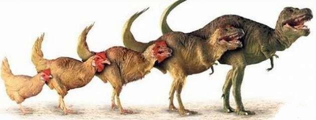 Происхождение динозавров