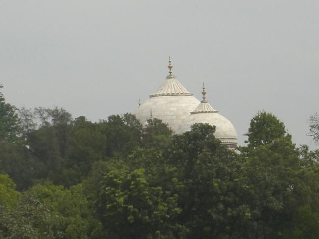 Купола храма