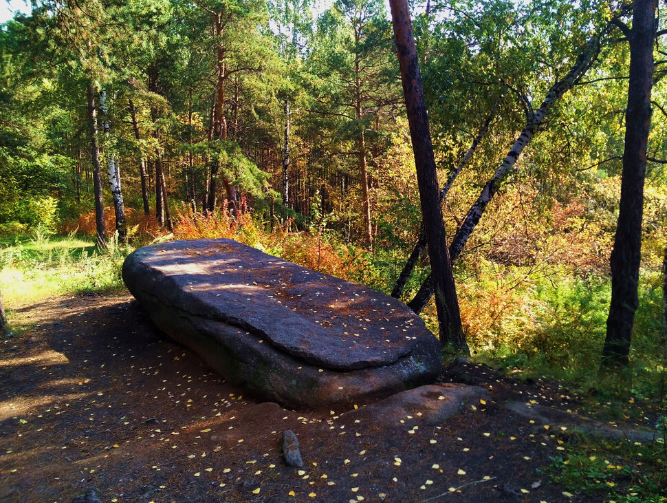 Лесной пейзаж с камнем