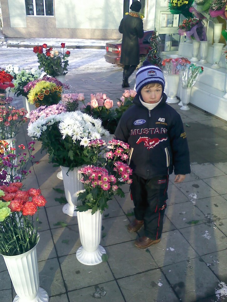 Цветы зимой в нашем городе