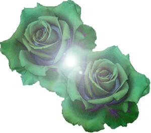 Розы зеленые