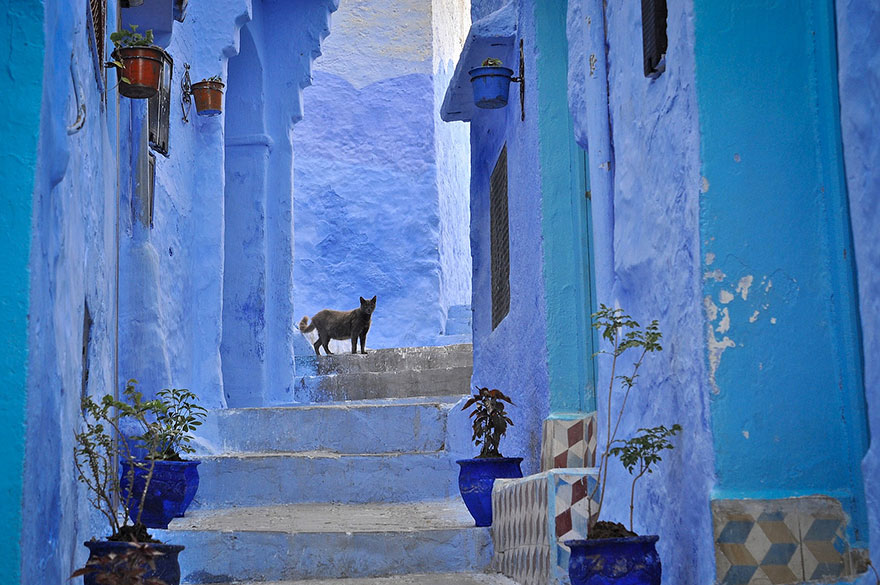 Старый город в Марокко синего цвета