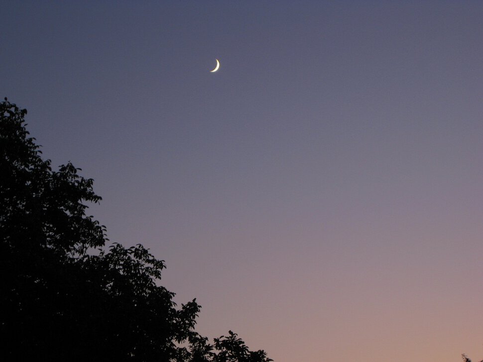 Луна в вечернем небе