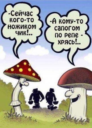 Споры грибов