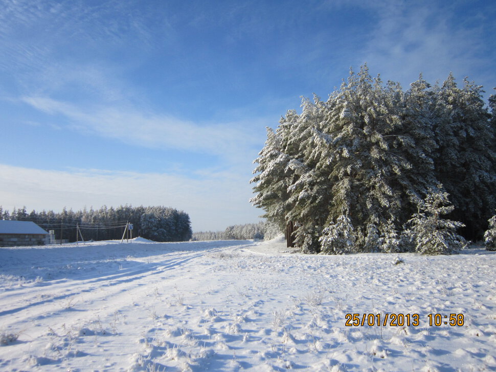 Зима украсила лес в Татьянин день