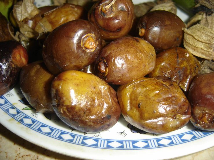 Фрукт Финики Фрукт Финики