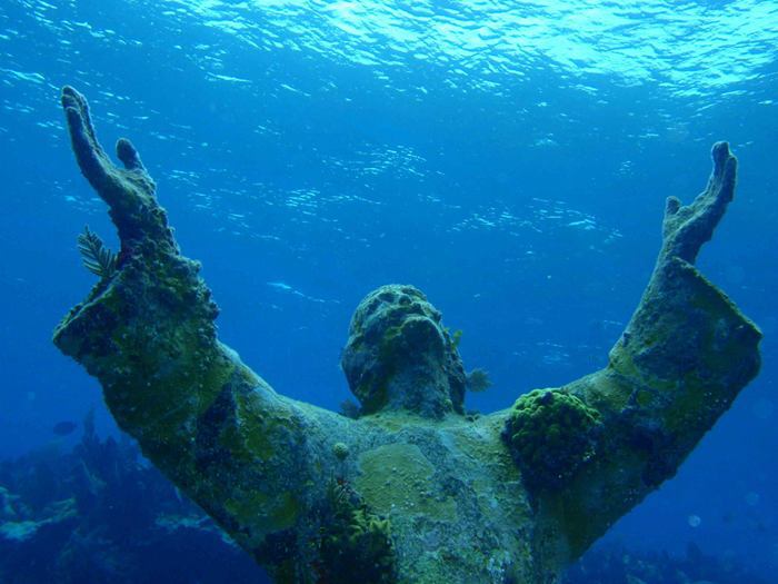 В комнате на дне морей В комнате на дне морей