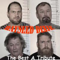 The Best A Tribute... The Best A Tribute...