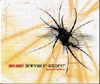 Animal in storm cd1