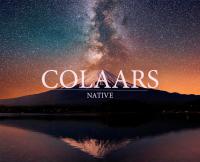 Native (EP, 2014)