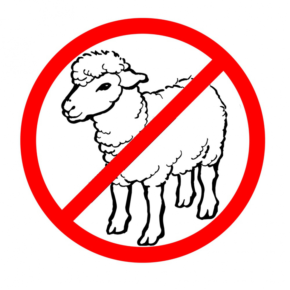 Not Sheep