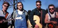 Hayseed Dixie