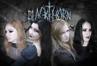 Blackthorn Blackthorn