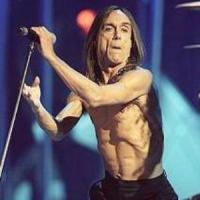 Iggy Pop Iggy Pop