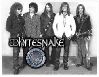 Whitesnake