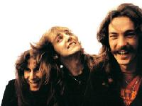 Rush Rush