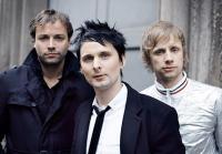 Muse