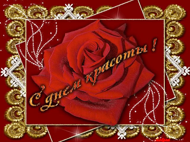 Гиф открытка С Днем Красоты с красной розой
