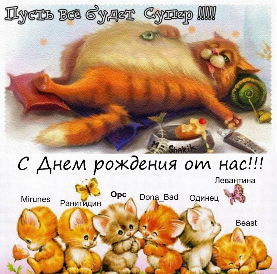 Смешная открытка с толстым котом с Днем Рождения
