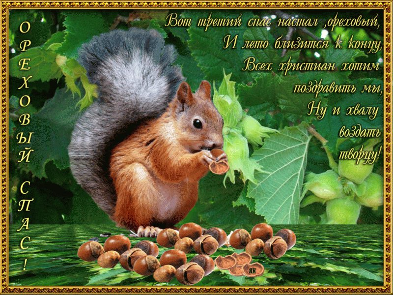 Красивая открытка на Ореховый Спас