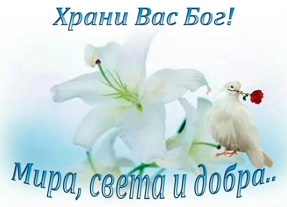 Храни вас Бог! Добрые пожелания, голубь и цветы