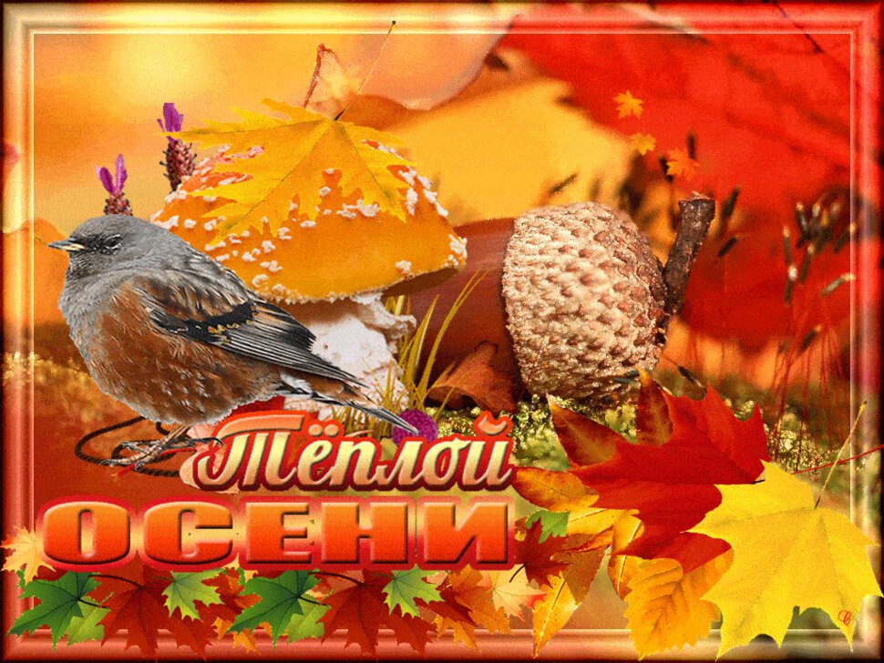 Скачать хорошую гиф открытку с Осенними Пожеланиями