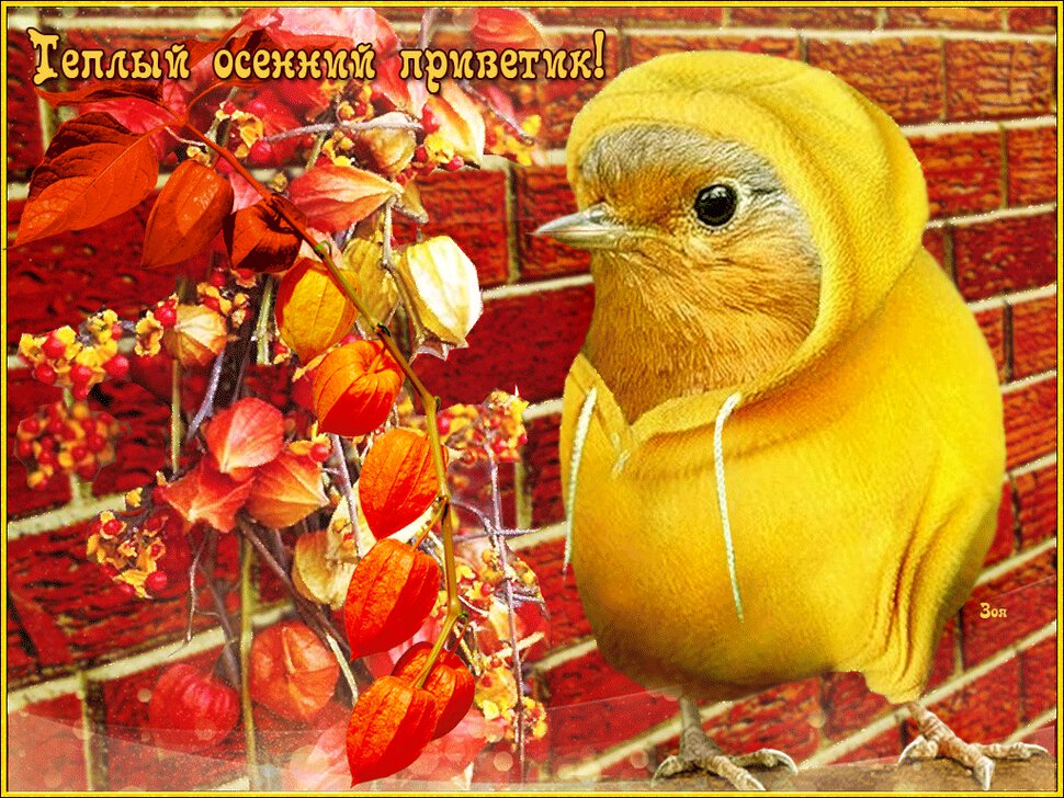 Смешная гиф открытка с Осенним Приветом