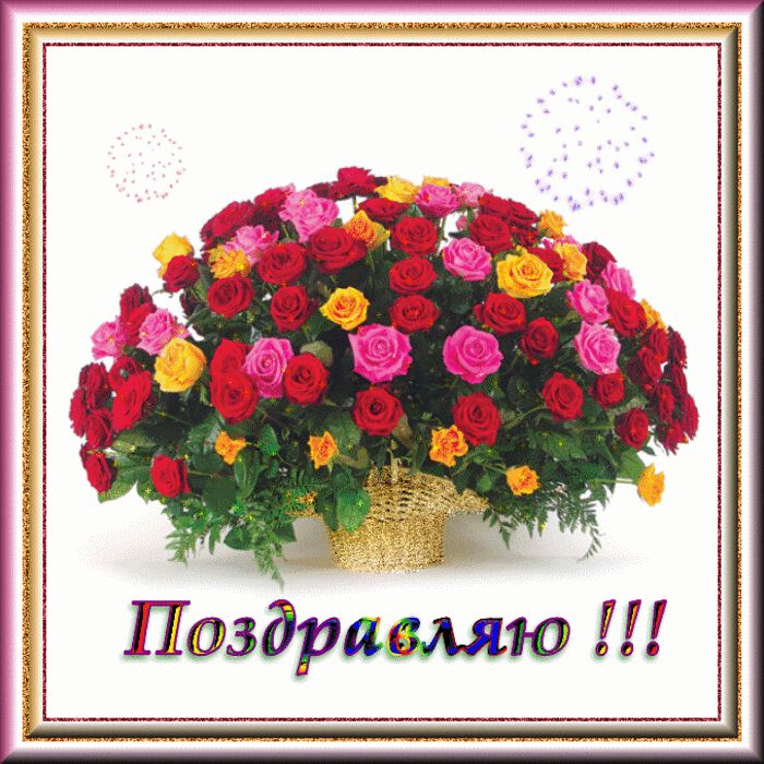 Поздравительная гиф открытка с букетом роз в корзине