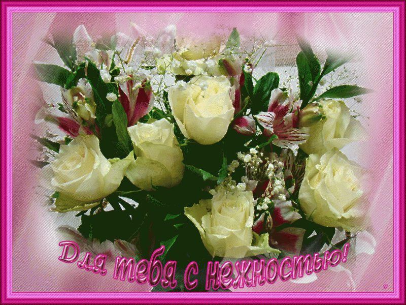 Нежный букет из роз и лилий в розовой рамке
