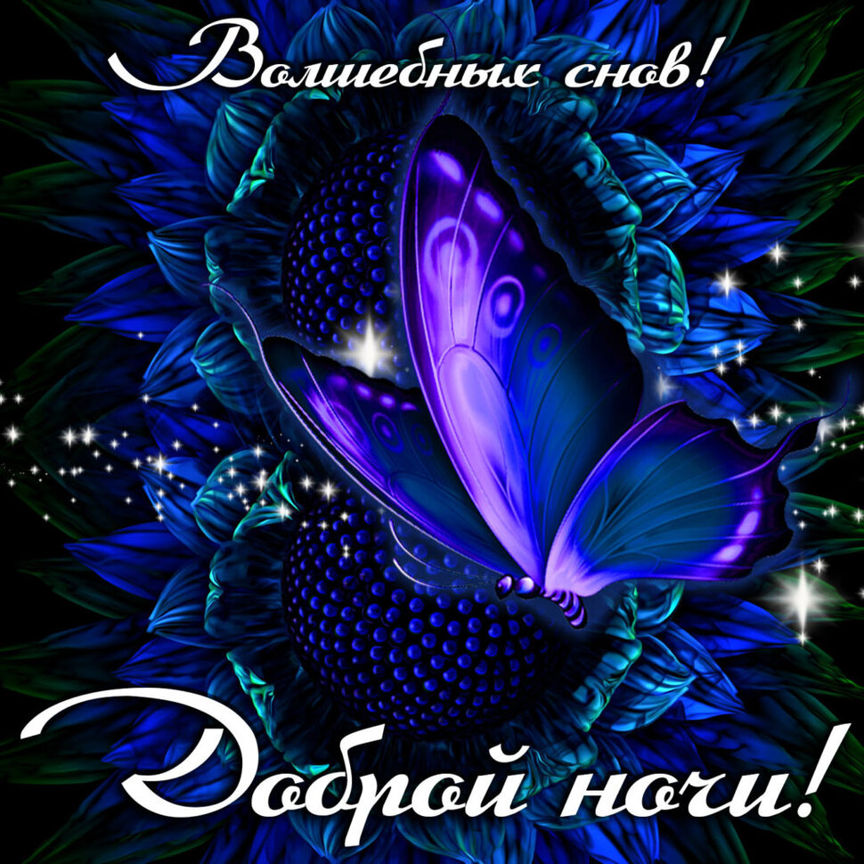 Яркая открытка с пожеланием Волшебных Снов