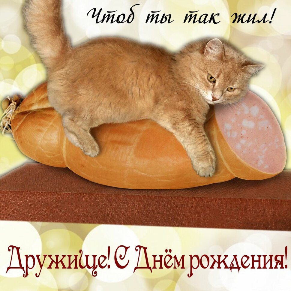 Прикольная открытка на День Рождения с котом и колбасой