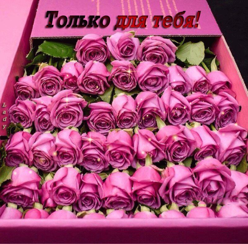 Розовые розы. Только для тебя. Анимация