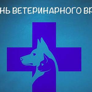 Милая открытка на Международный день ветеринара